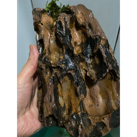 参考说说疯狂水草（crazy aquatic plant）造景装饰值不值的买，图文评测详情