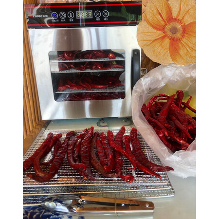 用过吐槽志高（CHIGO）食品烘干机是否划算，说说半个月心得分享
