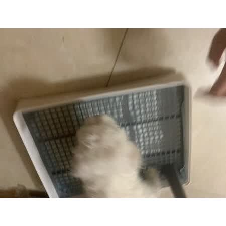 对比吐槽茨格曼cgm152是否划算，是否值得买