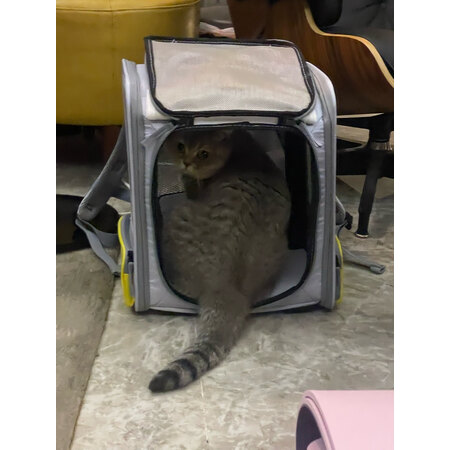 参考剖析小佩小佩猫包-BP3-灰色好不好呀，真实感受说一下