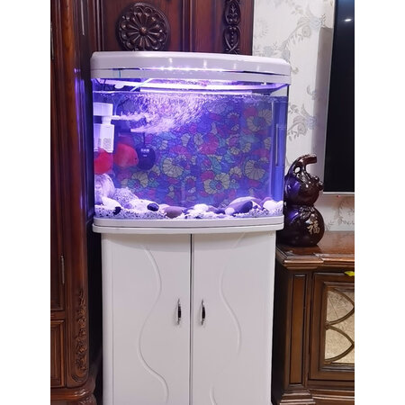 深度剖析曝光茨格曼乌龟加热棒质量会不会很好,入手三星期真相分享-盒子日记