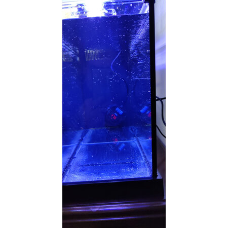 曝光评测茨格曼乌龟加热棒质量靠谱不，评测二个月感受告知
