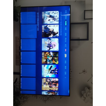 用过的人评测长虹55D6P PRO和海信vidda s55有区别没有？哪个好一些？真实质量反馈
