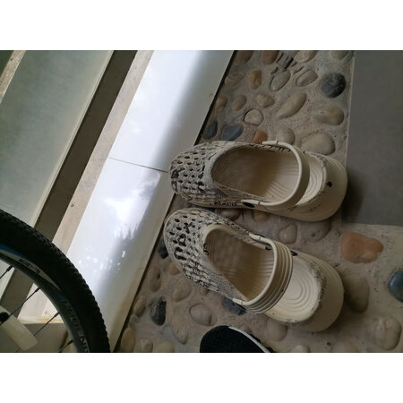 使用后评测卡帝乐鳄鱼MX6612功能如何，入手超值的吗