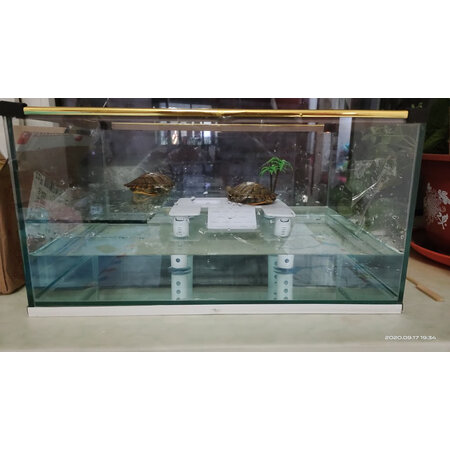 入手揭秘HANYANG乌龟晒台爬台晒龟台乌龟浮台NF-06测评好不好？吐槽大实话！