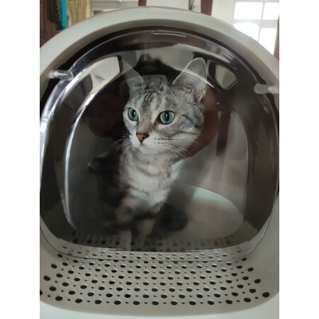 解疑体验美卡美卡 特大号机器猫猫砂盆揭秘质量好不好，这个值得入手吗