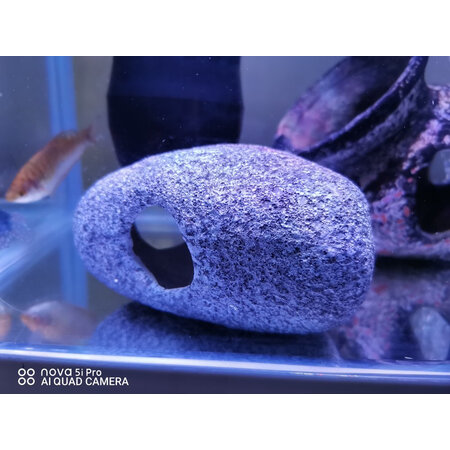 使用体验分享UP陶制仿真石头924S使用感受好不好，可以看看评价
