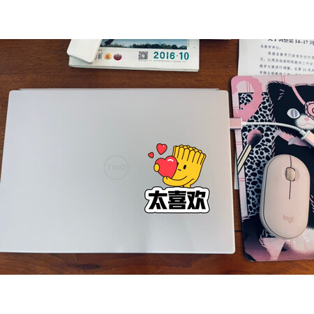 优缺点揭秘戴尔灵越13pro5320和5310对比区别是什么？哪款好用点？讲讲优缺点！