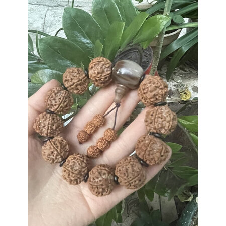 口碑剖析妍韵珠宝满肉双龙纹六瓣大金刚菩提子手串好评都真的吗，说说一个月经验分享