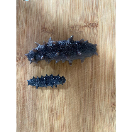 了解爆料辽参干辽参100g16-25只价格是多少？网友吐槽评价反馈感受！