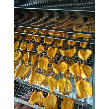 高手分析志高（CHIGO）食品烘干机真实使用感受？吐槽三周心得分享！