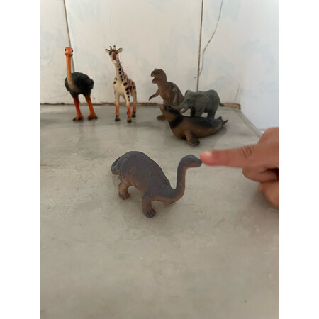 内幕剖析评测Wenno儿童仿真动物玩具体验反馈优缺点，想入手需要注意什么
