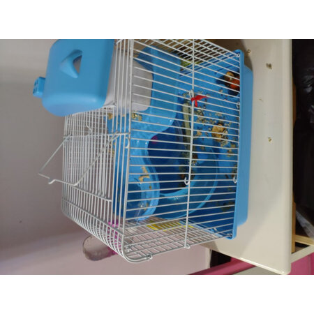 威毕鼠类用品真实感受评测-威毕鼠类用品用户评价与解析_http://www.meifudie.com_好物_第7张