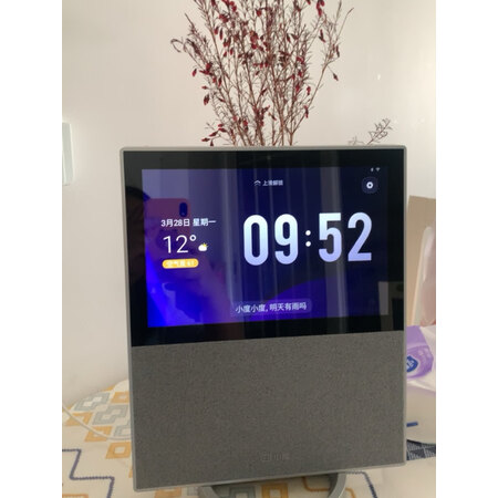 图文剖析小度x10二代和小米家庭屏10有什么区别？哪个更好？抛开表象看本质！