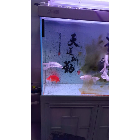 客观爆料茨格曼cgm-35好用吗，老司机来说说吧