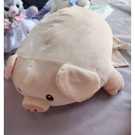 使用体验艾睿思玩偶公仔感受分享，入手二周感受分享