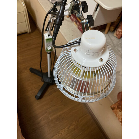 实际使用感受仙鹤CQ-25M升级款值不值呢？口碑真实揭秘！