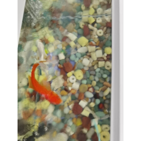 体验评测感受神阳神阳 【育成】1kg中粒真实使用评测？评测口碑可以参考！