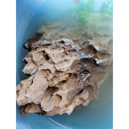 参考说说疯狂水草（crazy aquatic plant）造景装饰值不值的买，图文评测详情