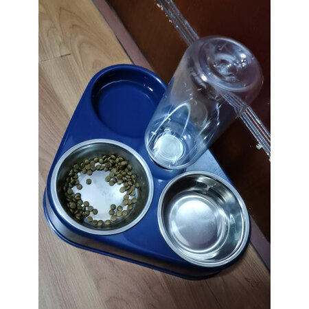 感受对比一下疯狂的主人疯狂的主人猫狗食碗蓝色评价真实好吗，口碑真实揭秘