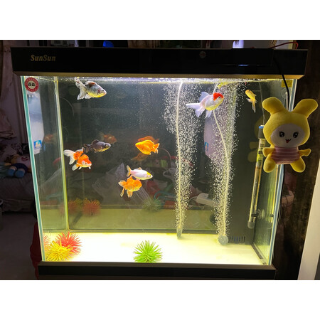 上手测评说说吉印刀锋支架灯21DF1056是不是真的啊，一定要参考-盒子日记