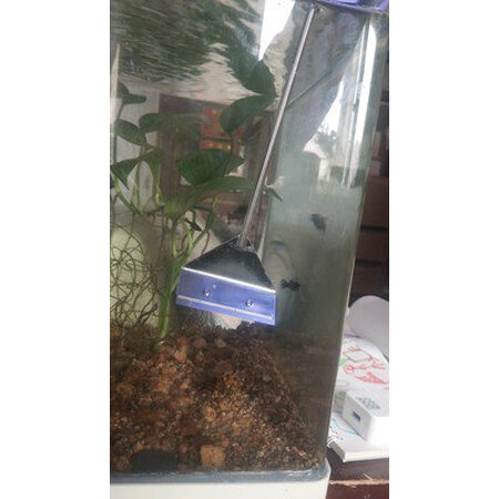 探索说说茨格曼cgm-35评测如何，真相揭秘啦