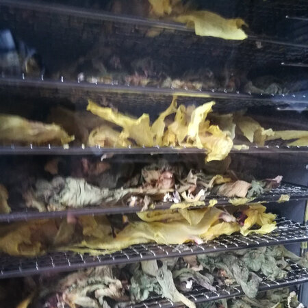 用过吐槽志高（CHIGO）食品烘干机是否划算，说说半个月心得分享