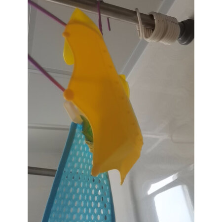 讨论使用一下十月结晶水温计说实话好不好,吐槽半个月经验分享