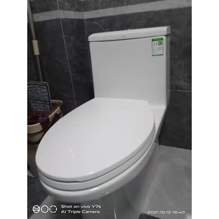 解疑分析恒洁HC0561DT（坑距400mm）使用后感受怎样，用了一个月感受告知