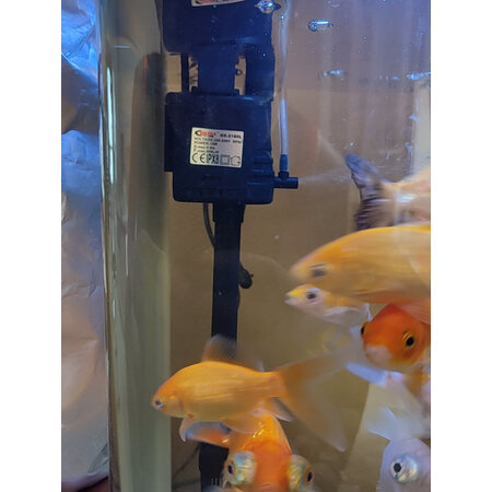 行业人解密SEA STAR过滤器/水泵质量真实如何，用户吐槽真相解密