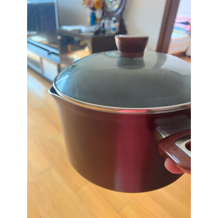 达人点评爱仕达24CM新不粘多用复底汤锅TL24A1WG-C真实的经验分享，深度剖析测评