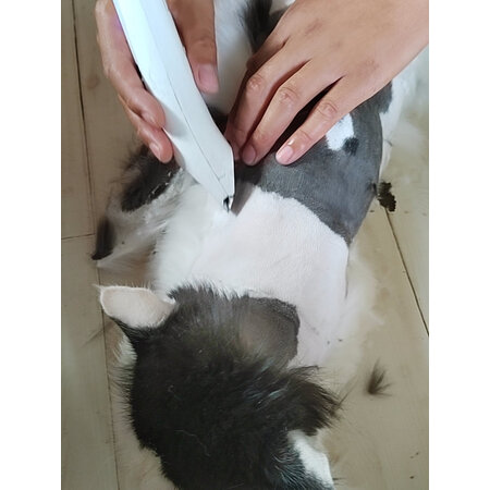 深度感受来旺兄弟宠物剃毛器说说优缺点如何？评测一星期感受分享！