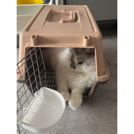 一起剖析摩宠（moorpet）航空箱/便携包真实反馈如何，评论那么好是真的吗