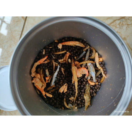 大家分析贝意品鱼粮/饲料还可以吗，看看一周感受告知