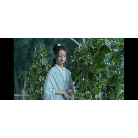 深度使用评测花西子气垫CC/CC霜感觉真的好吗，告知两周经验分享