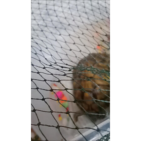 已经入手爆料龟真寿XG质量评测揭秘？这个值得入手吗！
