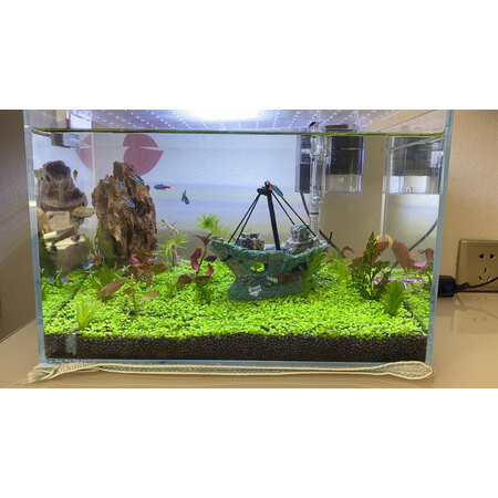 参考说说疯狂水草（crazy aquatic plant）造景装饰值不值的买，图文评测详情