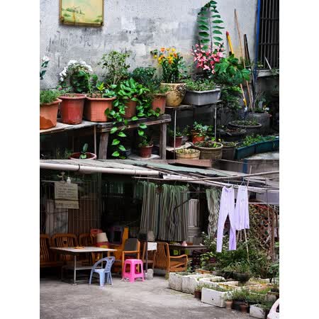 尼康z50跟佳能r10对比哪个好用些-尼康z50跟佳能r10对比深度对比_http://www.itswebtime.com_好物推荐_第6张