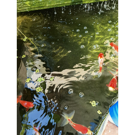 讨论评测宠翰g235质量是不是很好啊，交流二周心得分享