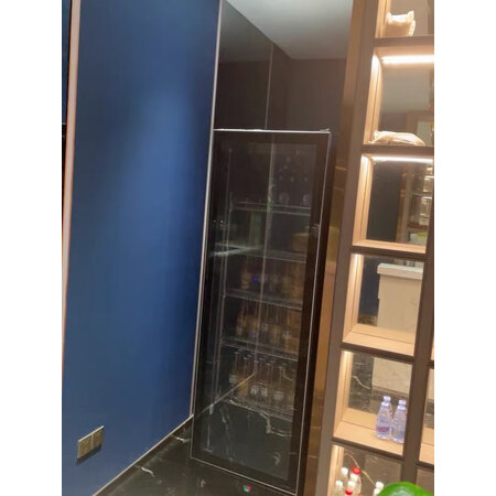 客观爆料寒冰展示柜体验反馈优缺点，买过的朋友来说说
