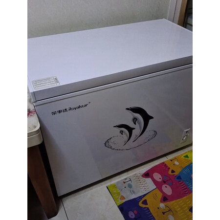 分析点评感受荣事达（Royalstar）BDBC-110A158D评测怎么样？告知三个月经验分享！