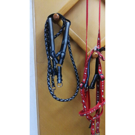 憨憨乐园牵引绳M号真实体验反馈-憨憨乐园牵引绳M号用户使用体验分享_http://www.tuijianxing.com_好物_第7张