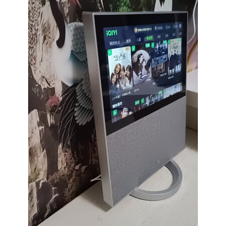 入手了解一下小度x10二代和T10区别是什么？哪款好些？使用真实说说！