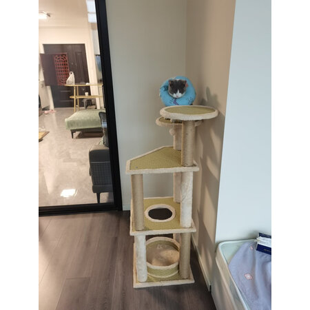 点评体验感受猫主义MZY-XMMPJ值得入手吗？良心点评实际情况！