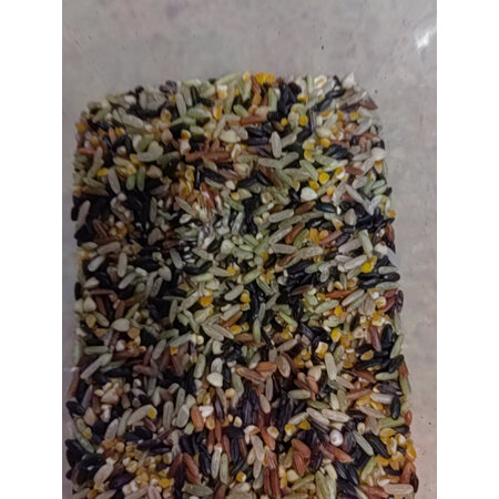 首度点评体验燕之坊C01010020089质量评测好不好用，使用一个月后评测