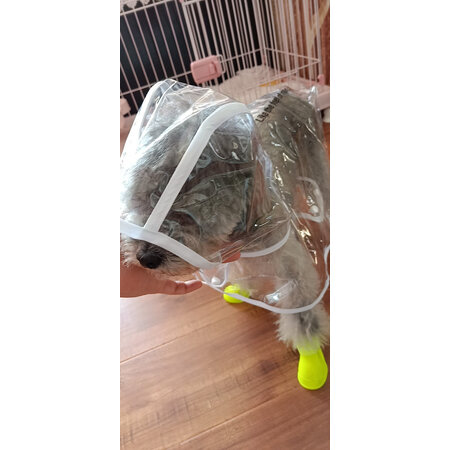 上手感受华元宠具（hoopet）宠物鞋服使用过后感受，评测一周心得分享