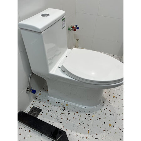 解疑分析恒洁HC0561DT（坑距400mm）使用后感受怎样，用了一个月感受告知