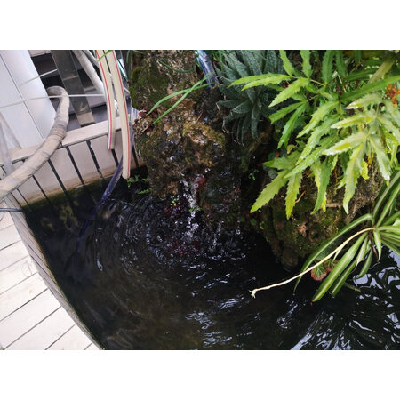 良心吐槽博宇（BOYU）过滤器/水泵质量是不是很好啊？告知三周感受分享！