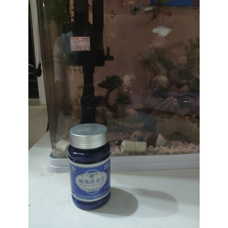 分析体验评测哈宝哈贝水族药剂使用后评价好吗，良心点评反馈