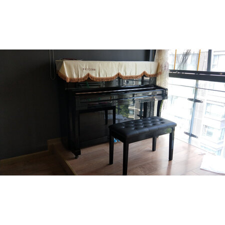 珠江dp118s和up118哪个好-珠江dp118s和up118深度对比_http://www.tuijianxing.com_好物_第8张